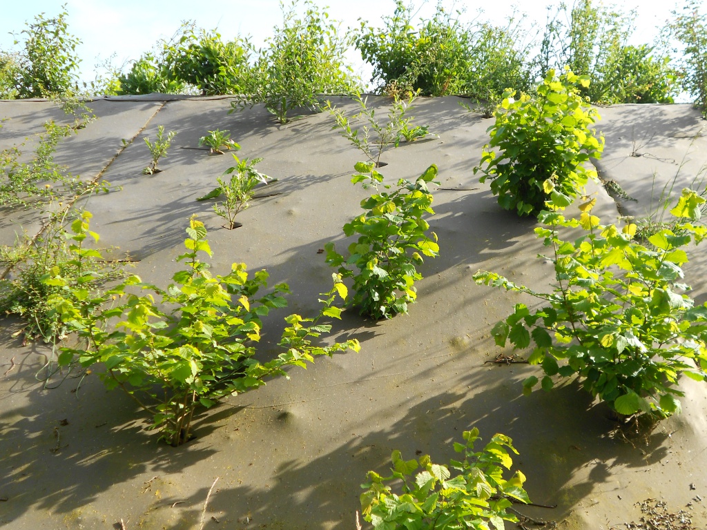 Biocovers- natürliches Aussehen - aspect naturel dû au mélange de fibres biologiques et de fibres naturelles