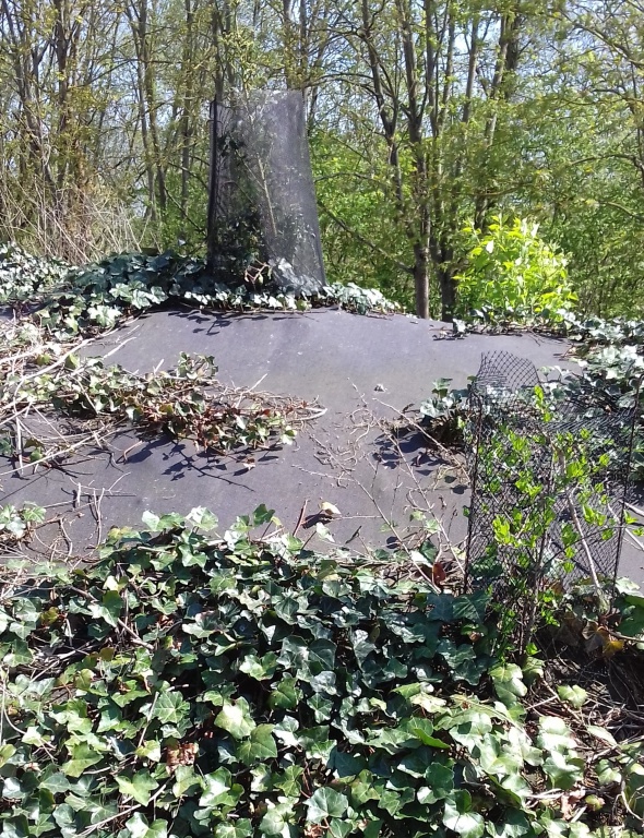 Biocovers - Bodendecker übernehmen nach 2 à 5 Jahren den natürlichen Erosionsschutz, nachdem zerfällt die Mulchmatte
