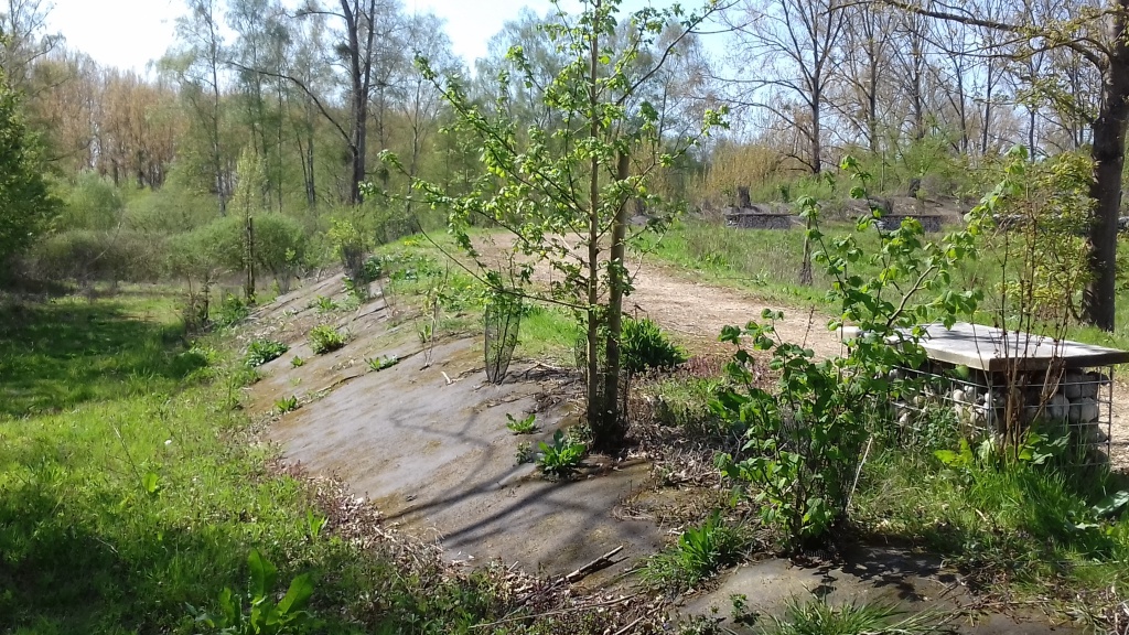 Biocovers Bioweedstop for landscaping - biologische Unkrautkontrole im Galabau