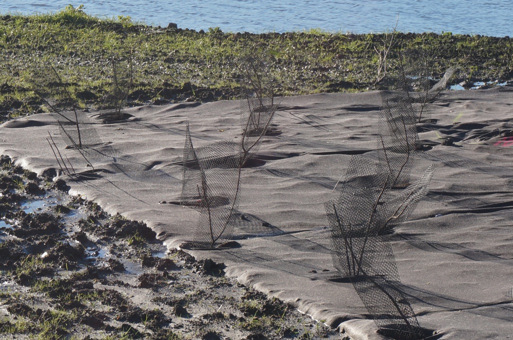 Biocovers Bioweedstop for landscaping - biologische Unkrautkontrole im Galabau
