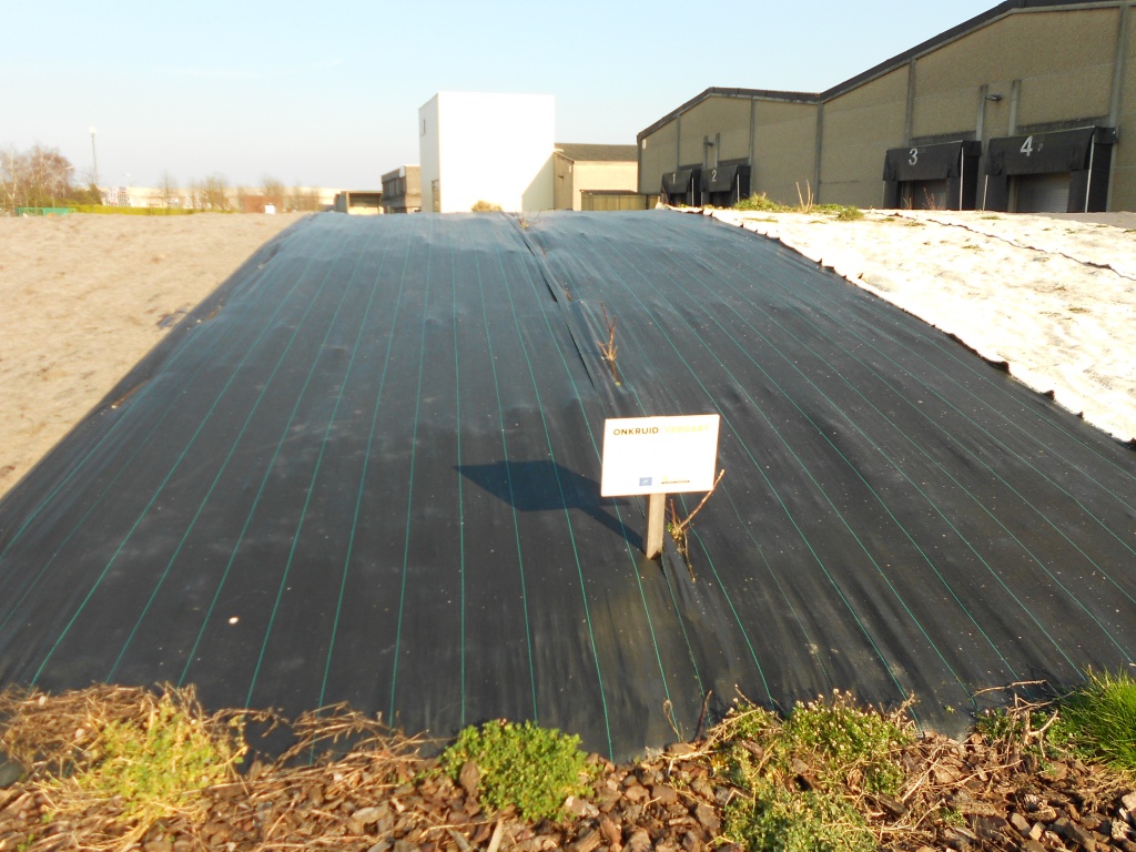 Biocovers mit Much-with bark und nach 2 Monaten mit Unkraut-after 2 months with weeds