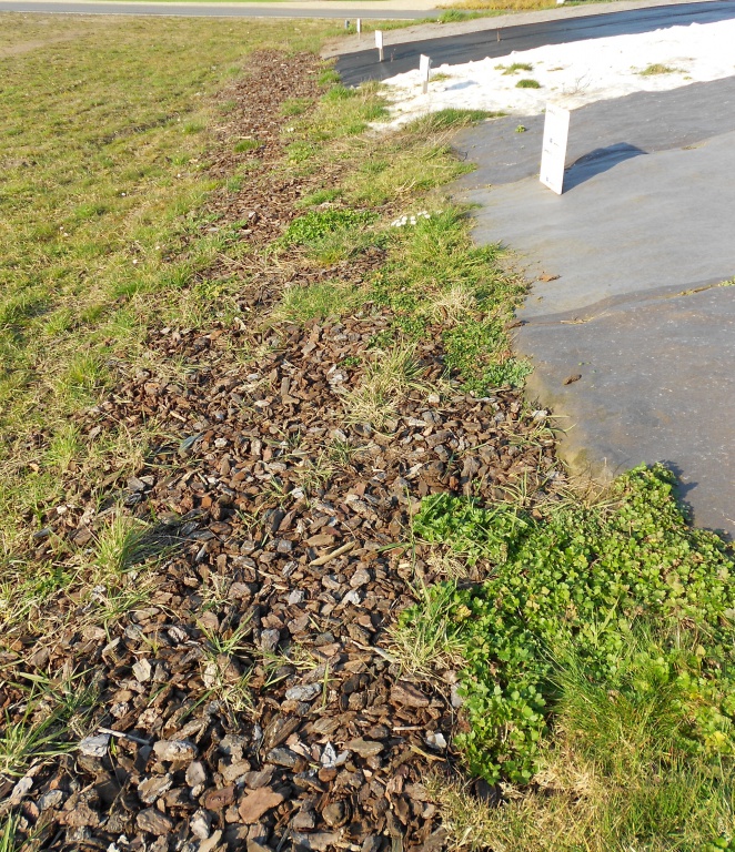 Biocovers mit Much-with bark und nach 2 Monaten mit Unkraut-after 2 months with weeds (LIfe+)