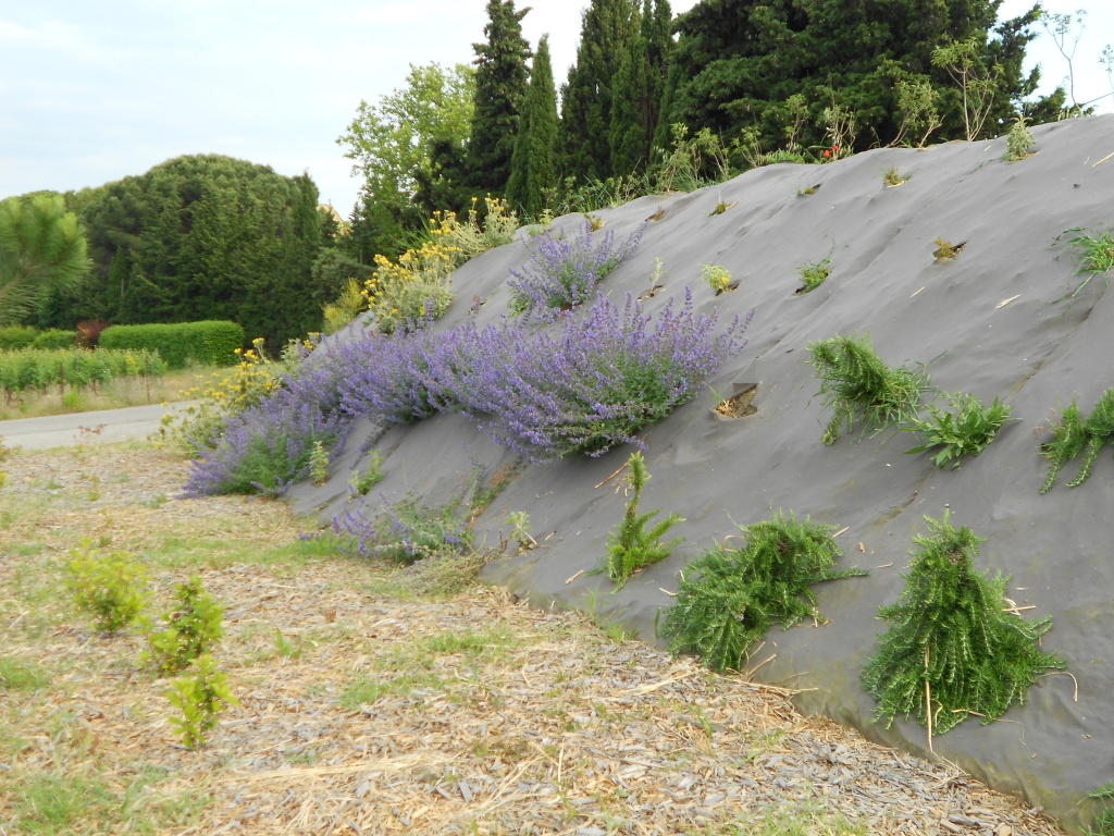 Biocovers paillage et protection de l'érosion, respect de l'environnement,  intégration esthétique - projet Vinci