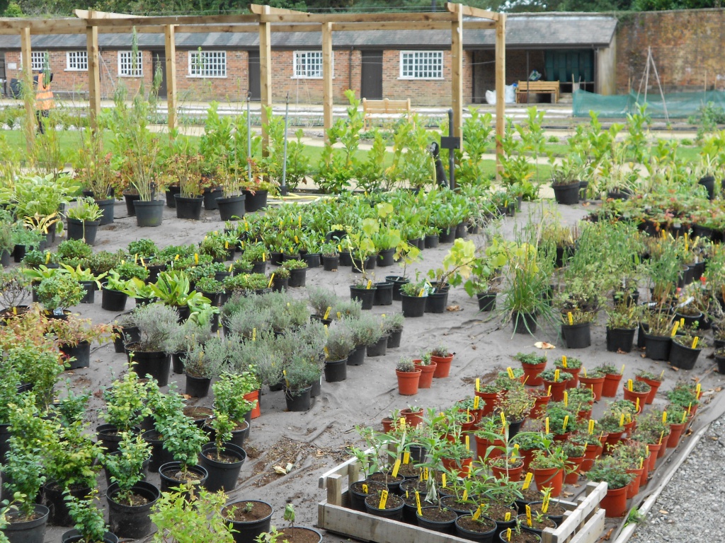 Biocovers weed and erosion control mats  made from organic material, compostable, low carbon foot print