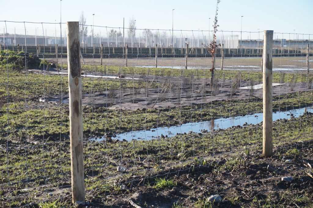Bioweedstop weed control mat installed in very wet conditions - installations dans des conditions très humides