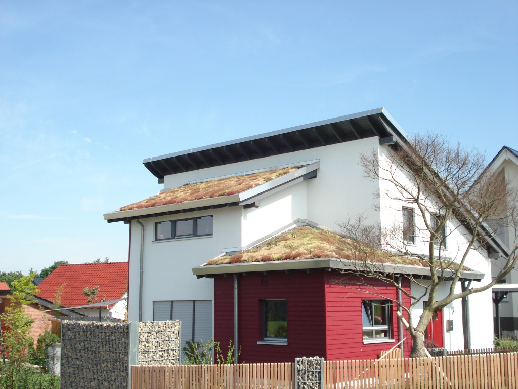 Greenroof - biobased support mat for sedum of flower blanket