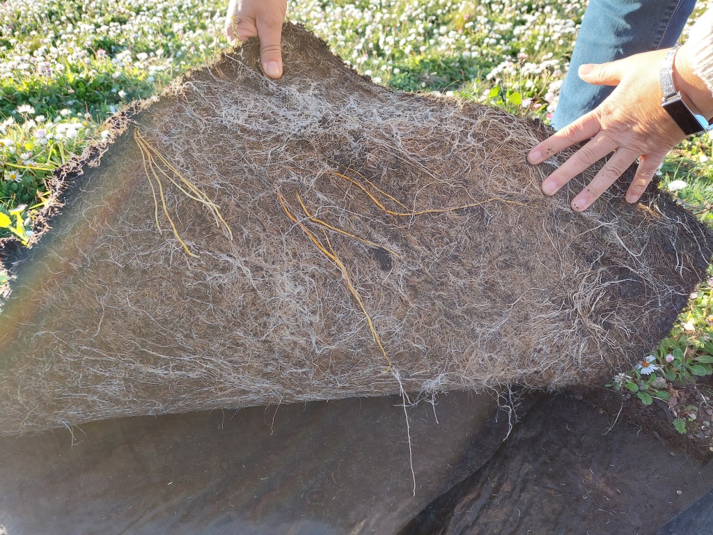 Moisture retentive plastic free biodegradable felt for instant wildflower area
