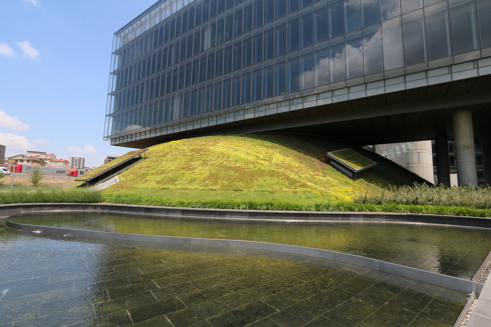 Sedum greenroof - biobased support mat for sedum of flower blanket