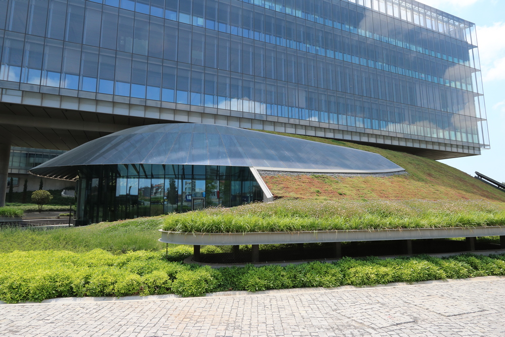 Sedum greenroof - biobased support mat for sedum of flower blanket