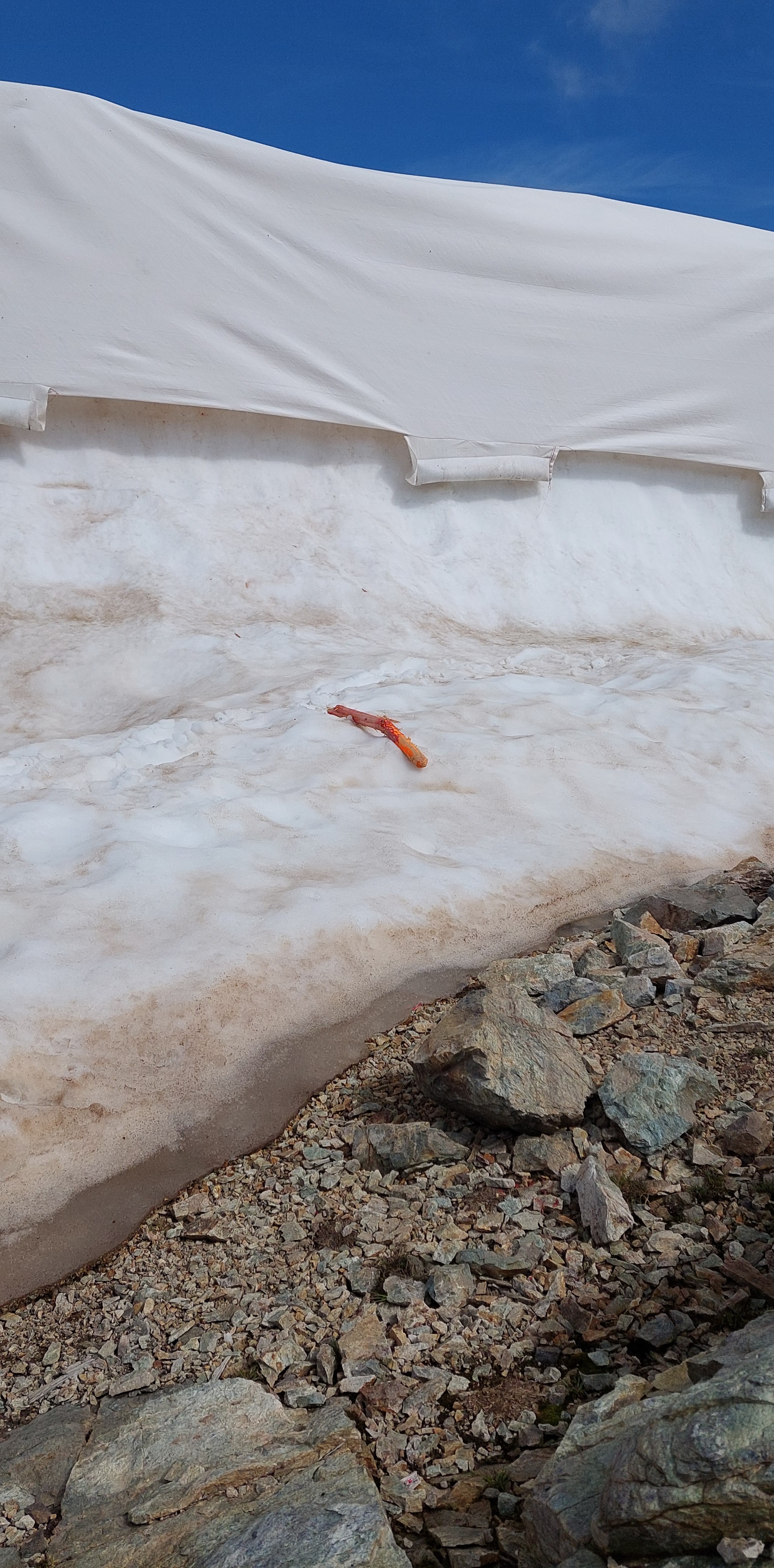 Glacier protection felt