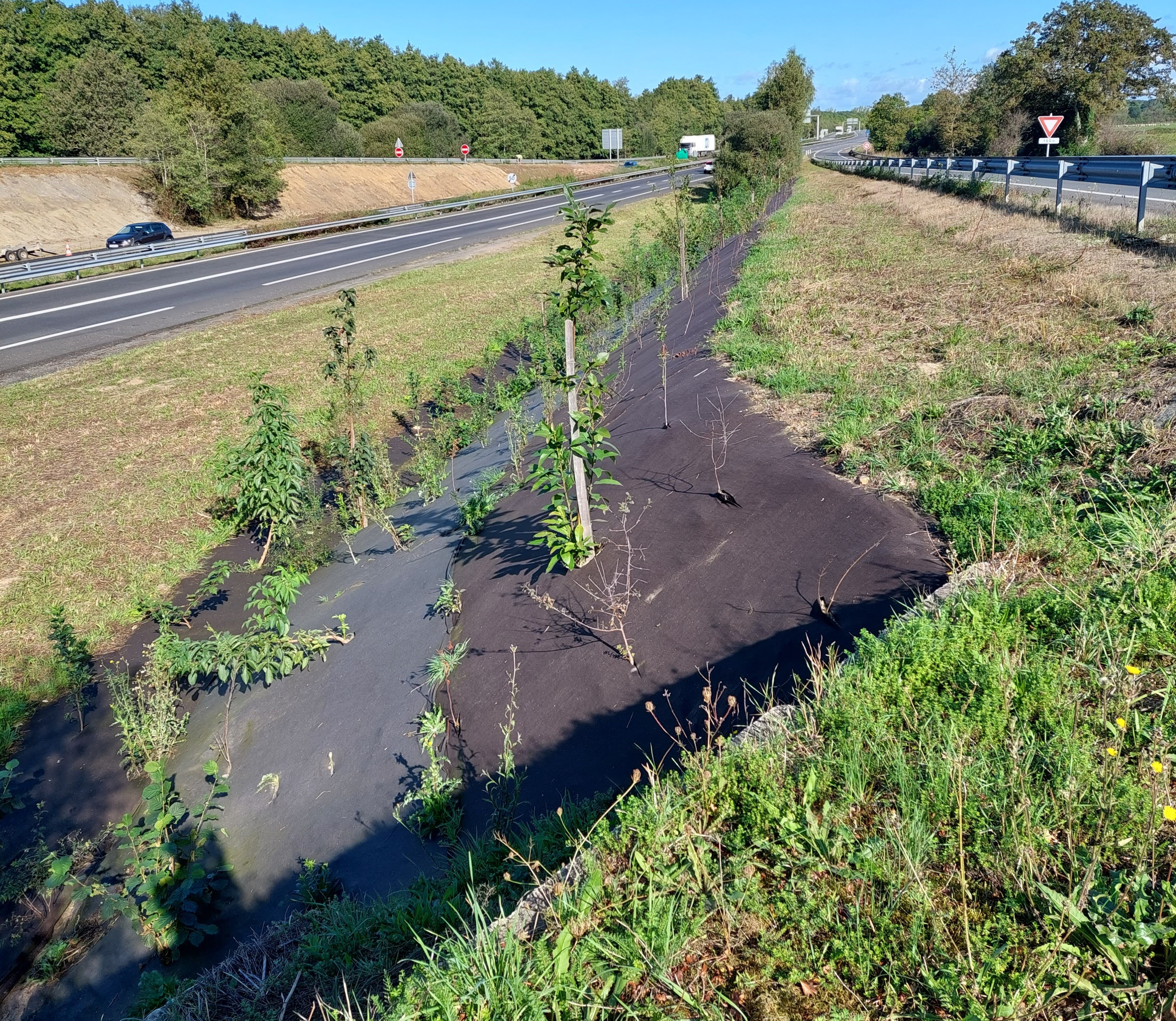 paillage biocovers 