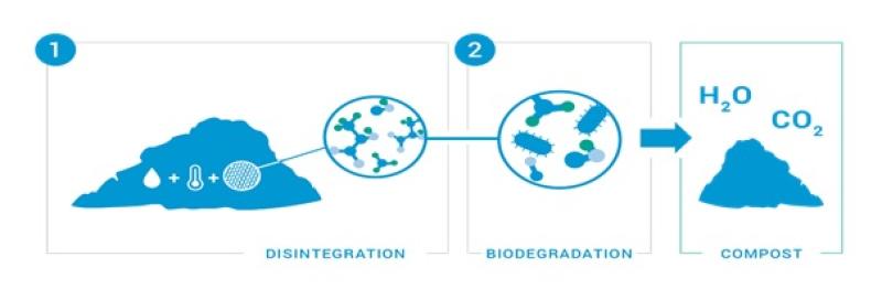 Disintegration - Biodegradation - Compost