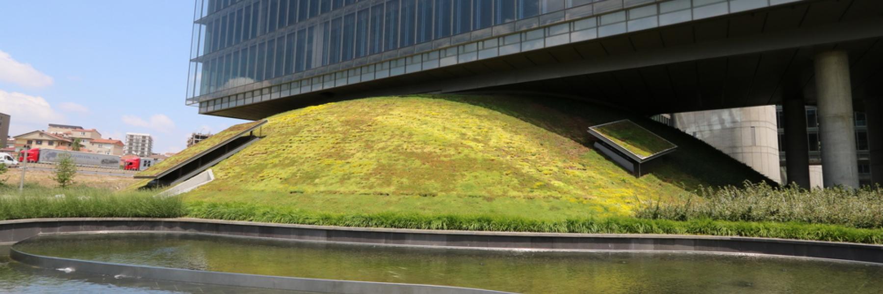 Biobased support mat for sedum of flower blanket