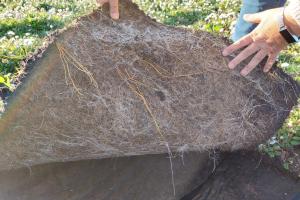 Moisture retentive plastic free biodegradable felt for instant wildflower area