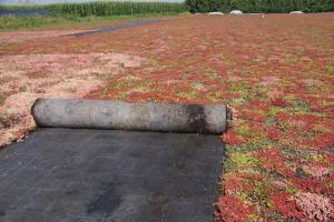 Vegetation Mat - Bio Support Mat