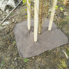 biobased and compostable tree mats