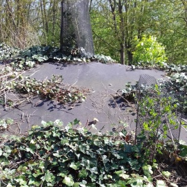 Biocovers - Bodendecker übernehmen nach 2 à 5 Jahren den natürlichen Erosionsschutz, nachdem zerfällt die Mulchmatte