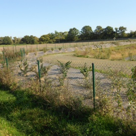 Biocovers Bioweedstop for landscaping - biologische Unkrautkontrole im Galabau