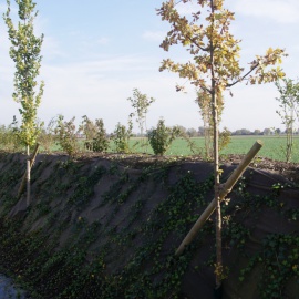 Biocovers Bioweedstop Unkraut und Erosionskontrole