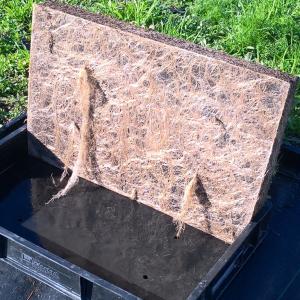 100% biobased support mat for greenroof systems