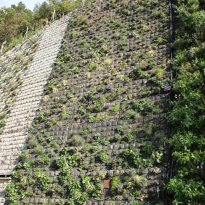 Biobased and biodegradable geotextile for separation and filtration