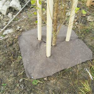 Biobased and compostable tree mats
