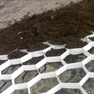 Biobased groundGrid soil stabilization system