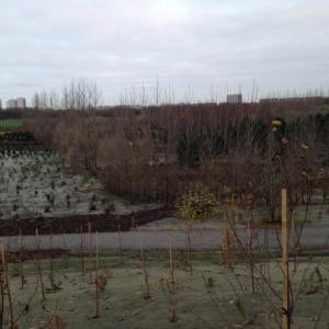 Biobasierte Unkrautmatte für Landschaftsbau