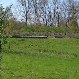 Biocovers - Bodendecker übernehmen nach 2 à 5 Jahren den natürlichen Erosionsschutz, nachdem zerfällt die Mulchmatte