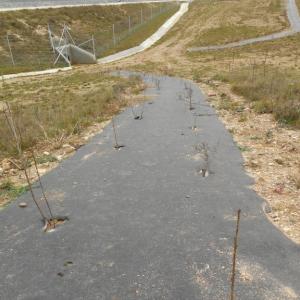 Biocovers - toile anti-mauvaises herbes - paillage PLA 
