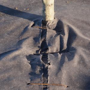 Biocovers Baumschutz-tree protection