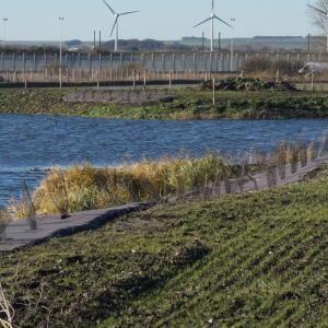 Biocovers biobased weed and erosion control mat