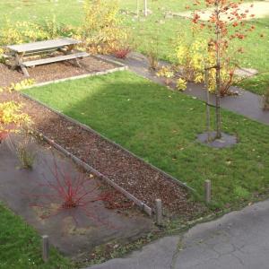 Biocovers biobased weed control mat aspect after 1 season