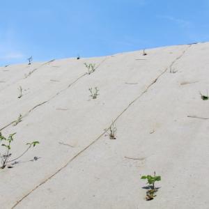 Biocovers Bioweedstop für 100% biologischen und effektiven Erosionsschutz