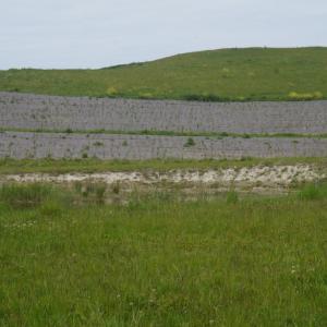 Biocovers Bioweedstop für 100% biologischen und effektiven Erosionsschutz
