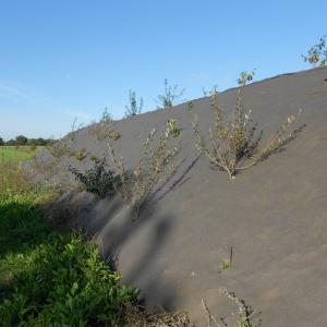 Biocovers Bioweedstop installation on steep slopes