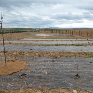 Biocovers Bioweedstop projet contournement Strasbourg
