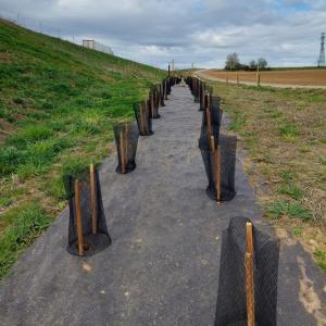 Biocovers Bioweedstop solution écologique pour plantations des haies