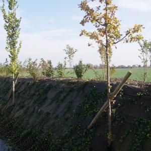 Biocovers Bioweedstop Unkraut und Erosionskontrole
