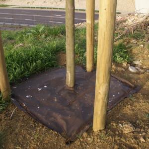 Biocovers Bioweedstop used as tree protection