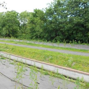 Biocovers for anti erosion applications - protection river bank