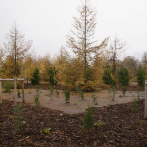 Biocovers for municipal projects