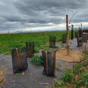 Biocovers hält Landschaft und Hecken unkrautfrei