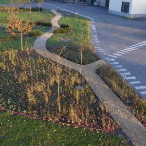 Biocovers im Staudengarten