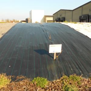 Biocovers mit Much-with bark und nach 2 Monaten mit Unkraut-after 2 months with weeds