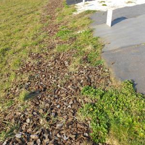 Biocovers mit Much-with bark und nach 2 Monaten mit Unkraut-after 2 months with weeds (LIfe+)
