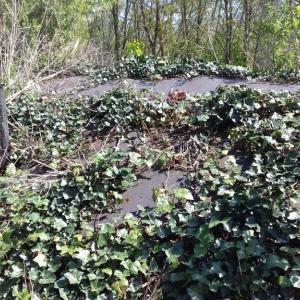 Biocovers paillage anti mauvais herbe100% issu de matériaux renouvelables