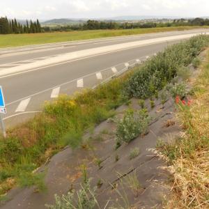 Biocovers paillage biodegradable 100% issu de matières végétales renouvelables