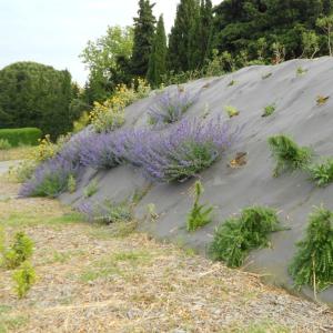 Biocovers paillage et protection de l'érosion, respect de l'environnement,  intégration esthétique - projet Vinci