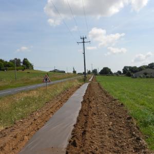 Biocovers pour le bocage traditionel  - for hedges